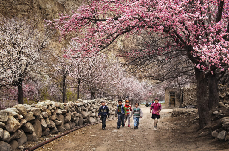 Luo Wenjie - Spring-On-The-Pamir-Plateau